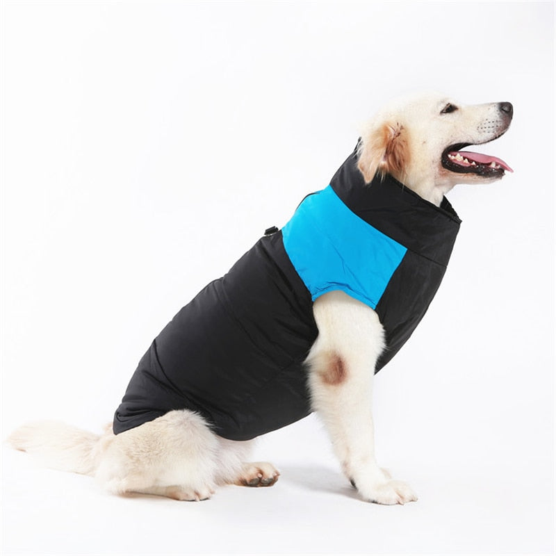 LunaPaws Hundejacke – Warm & Wasserdicht