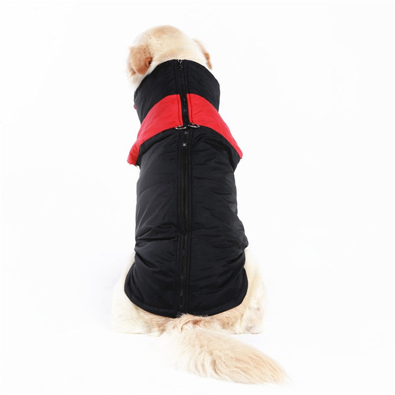 LunaPaws Hundejacke – Warm & Wasserdicht