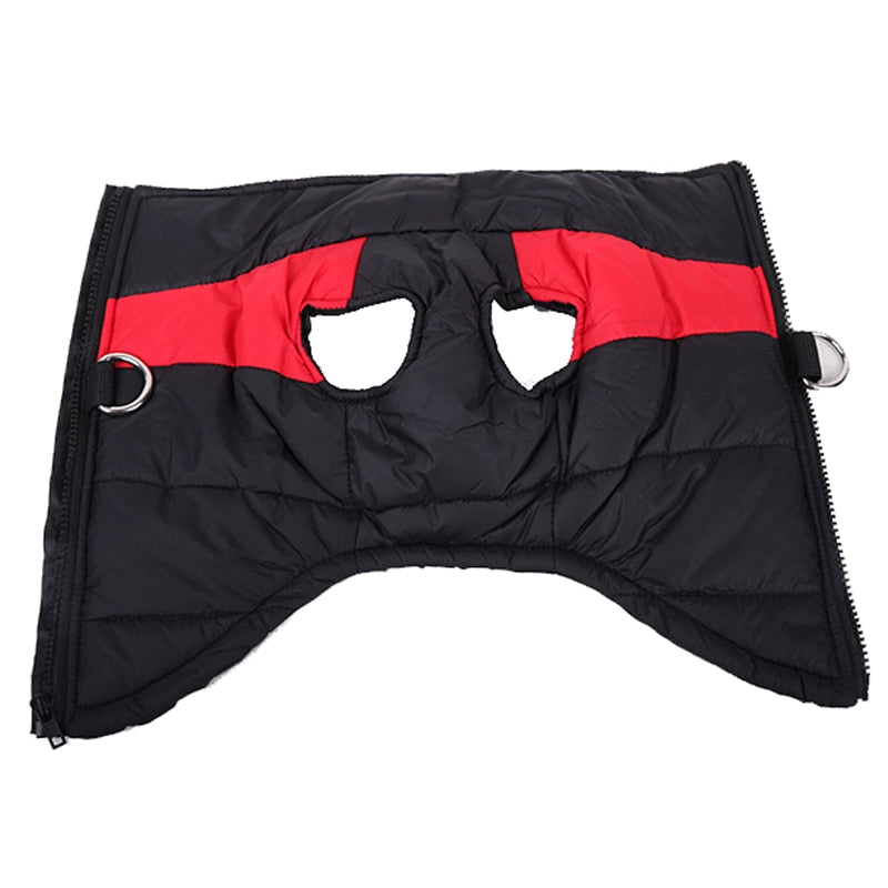 LunaPaws Hundejacke – Warm & Wasserdicht