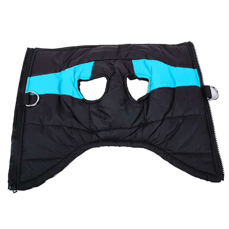 LunaPaws Hundejacke – Warm & Wasserdicht